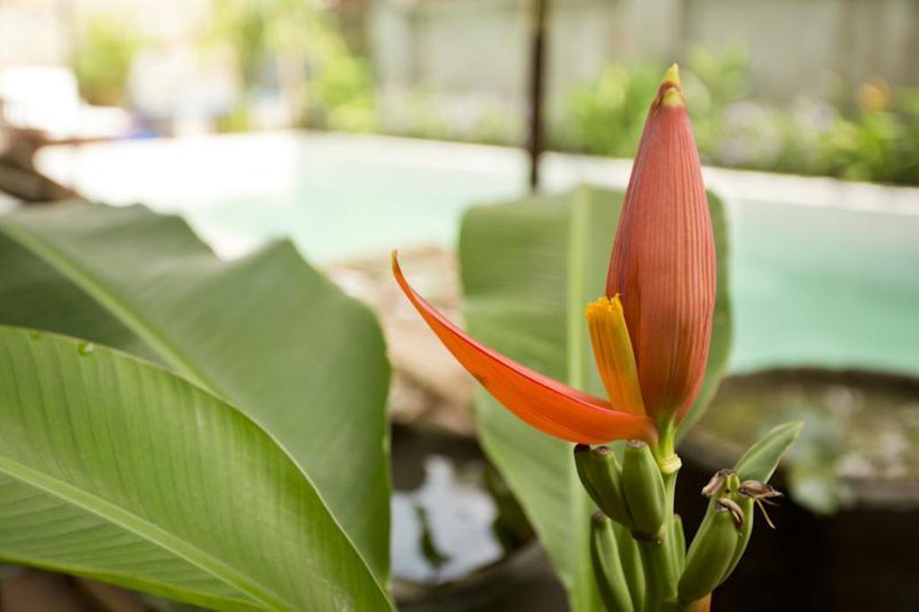 Casa Villa Independence Phnom Penh Ngoại thất bức ảnh